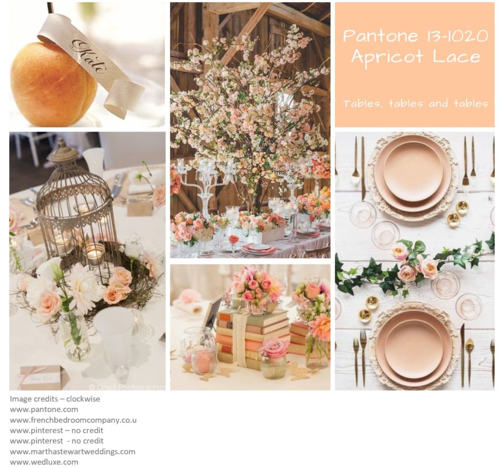 Picture Montage of Pantone Colour Apricot Lace