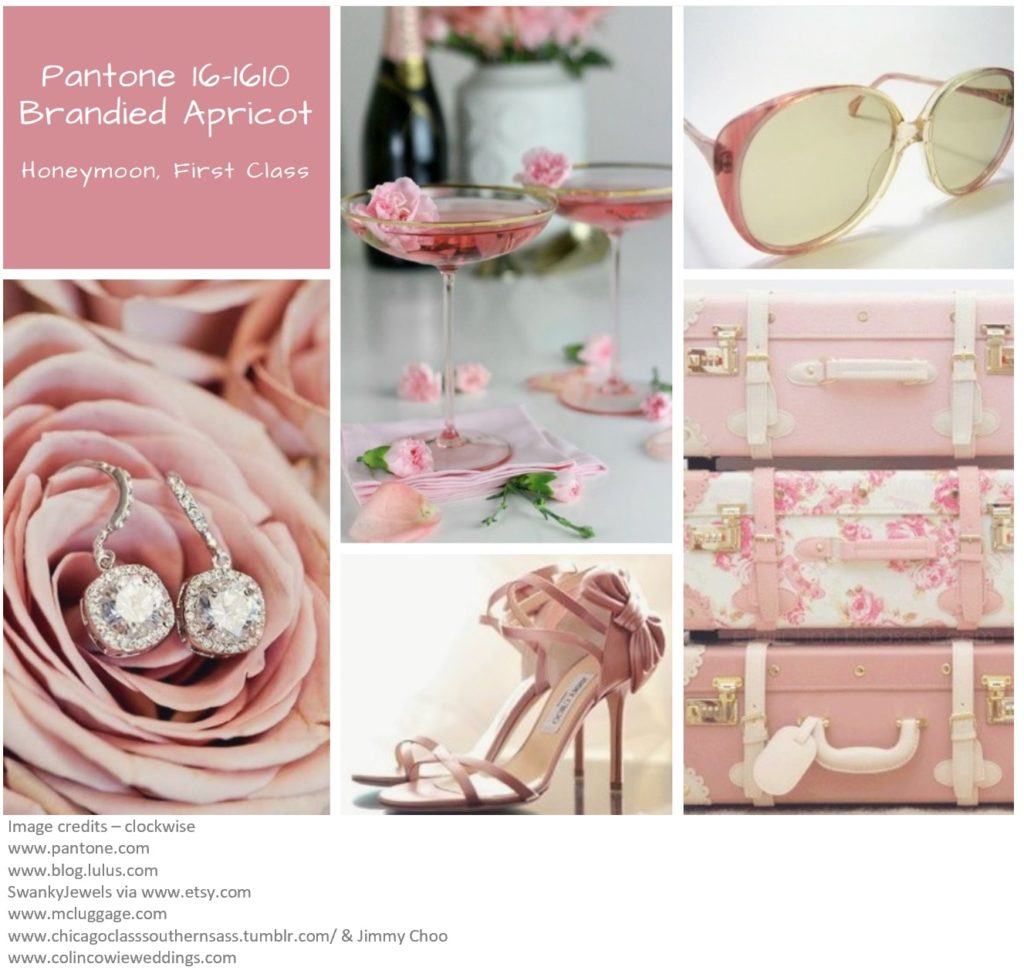 PIcture montage for pantone colour Brandied Apricot
