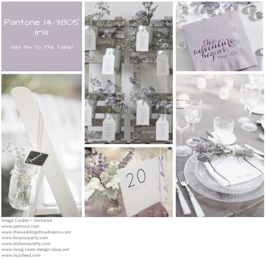 Picture Montage for pantone colour Iris