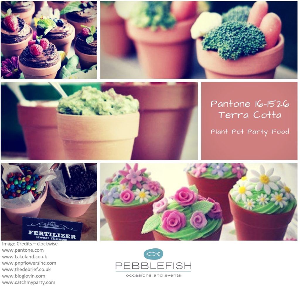 PIcture montage for pantone colour Terra Cotta