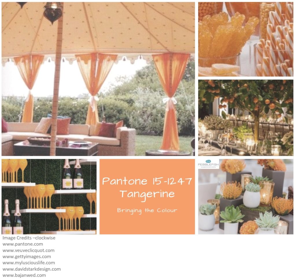 Picture montage for pantone colour tangerine