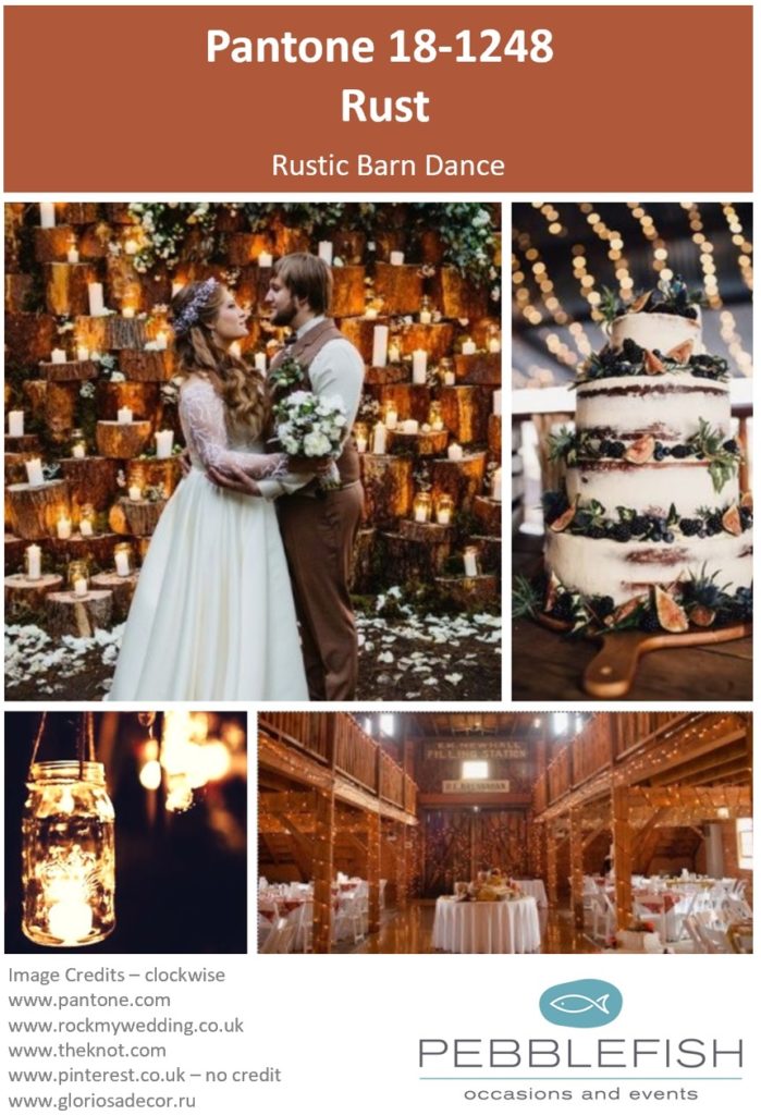 Picture montage for pantone colour. Rust