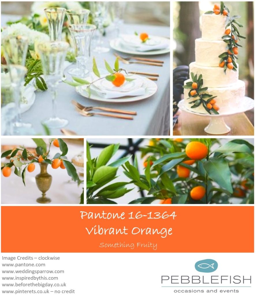 Picture montage for pantone colour, Vibrant Orange