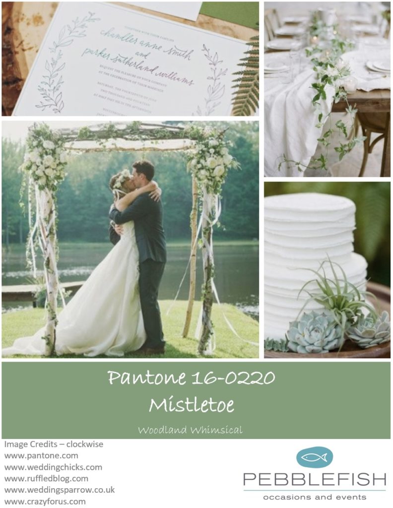 PIcture montage for pantone colour Mistletoe