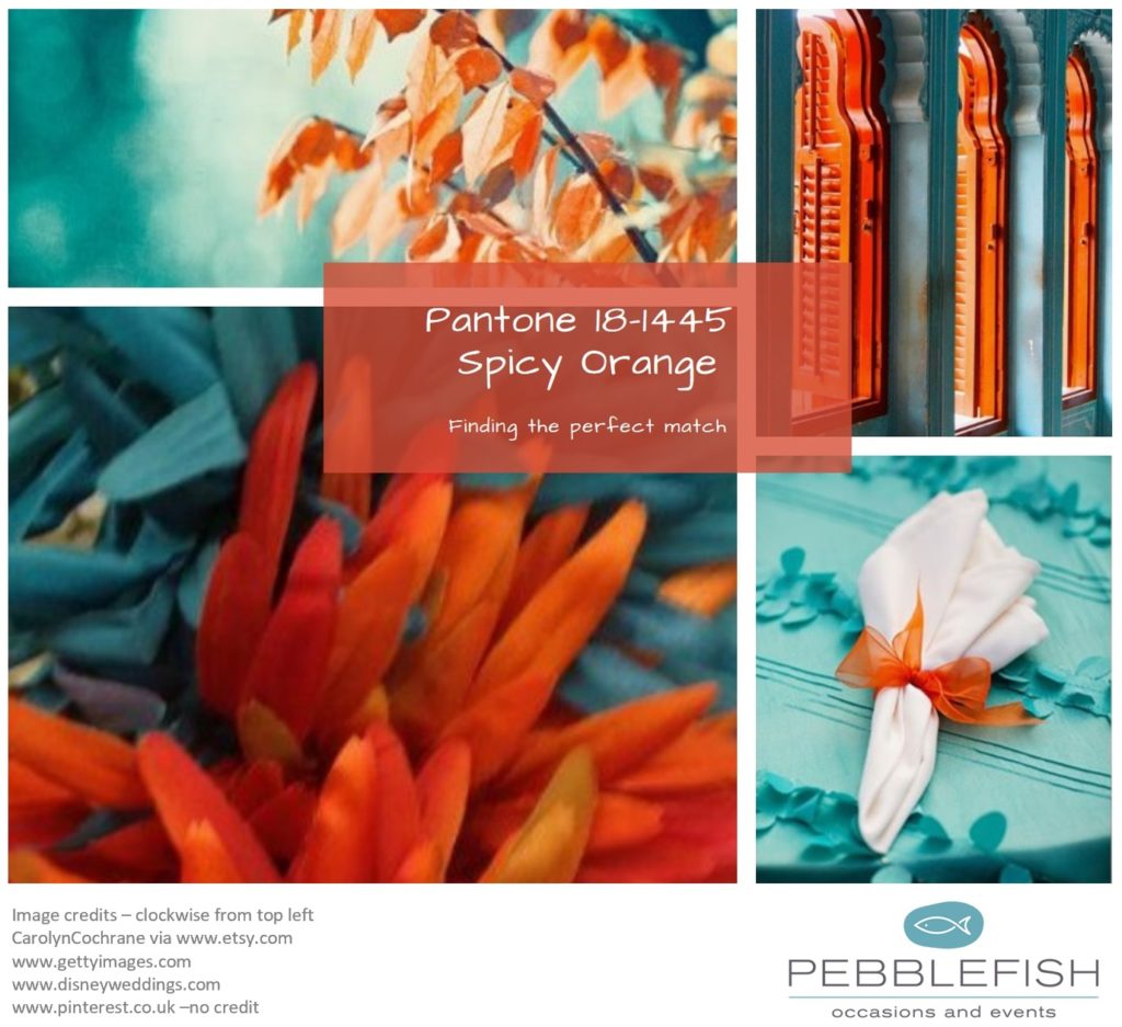 Picture montage for pantone colour, Spicy Orange