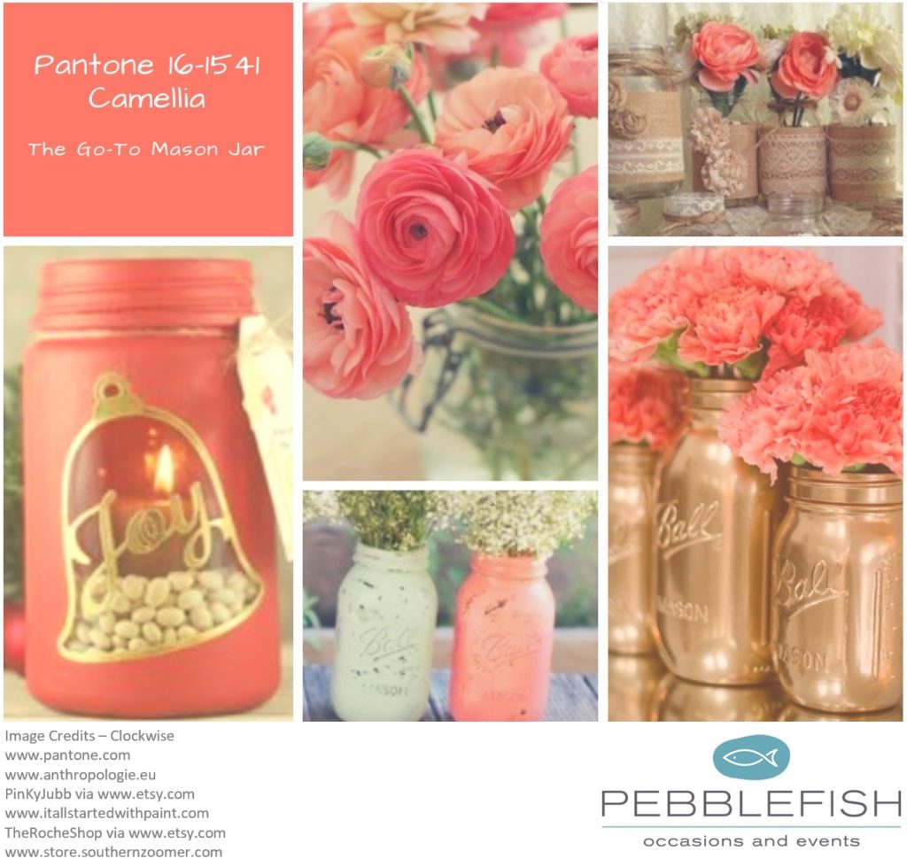 Picture montage for pantone colour Camellia