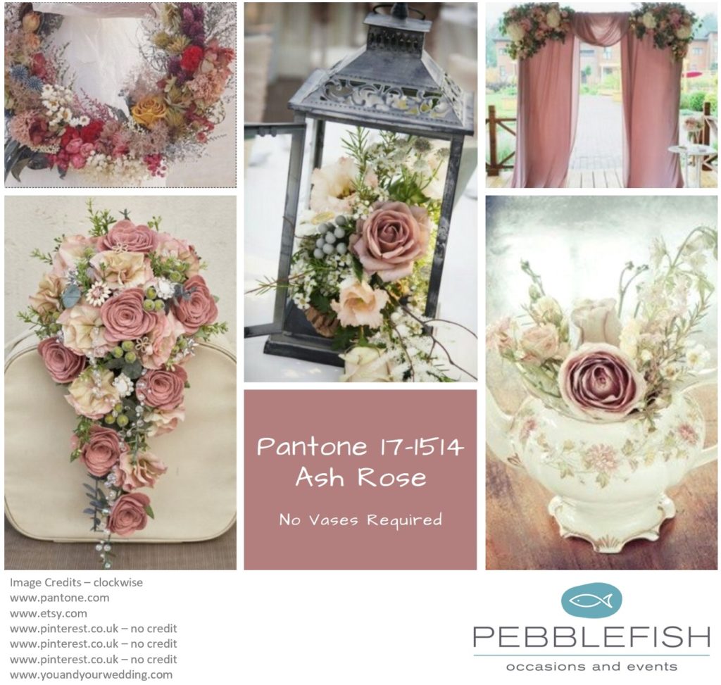 Picture montage for pantone colour Ash Rose