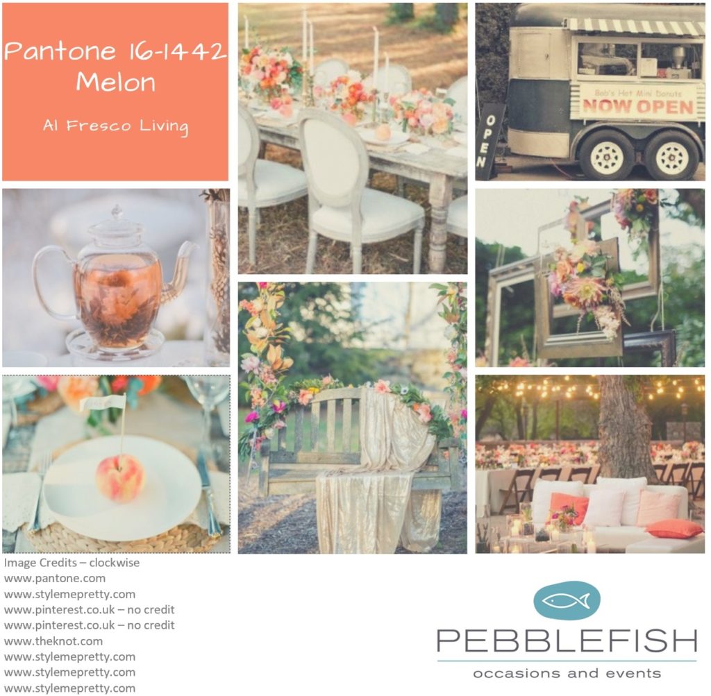 Picture montage for pantone colour melon