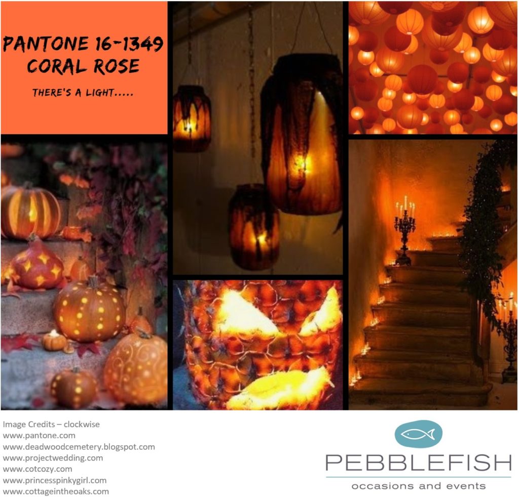 Picture Montage for Pantone colour Coral Rose