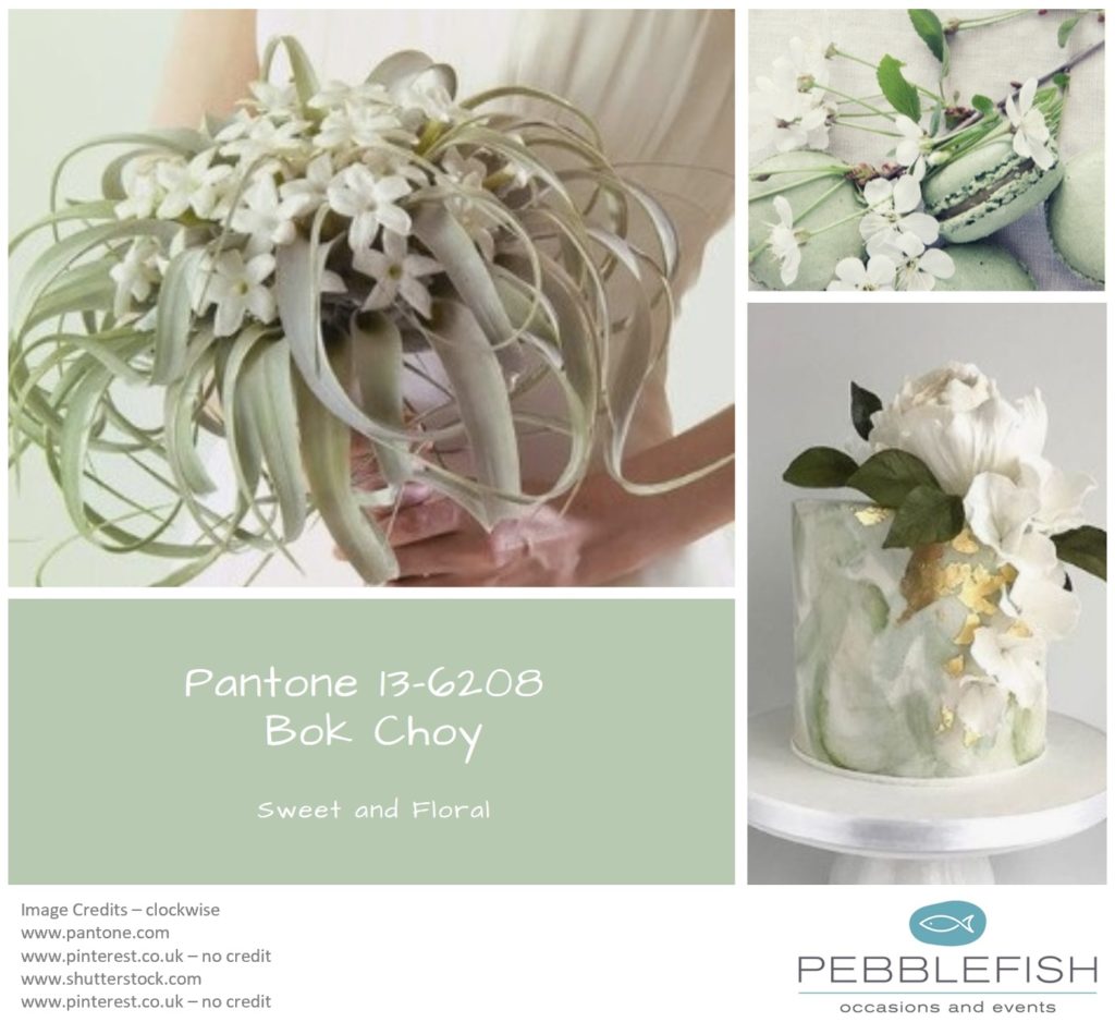 Picture monatge for pantone colour Pak Choy